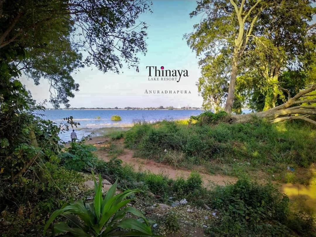 Thinaya Lake Resort Анурадхапура Екстер'єр фото